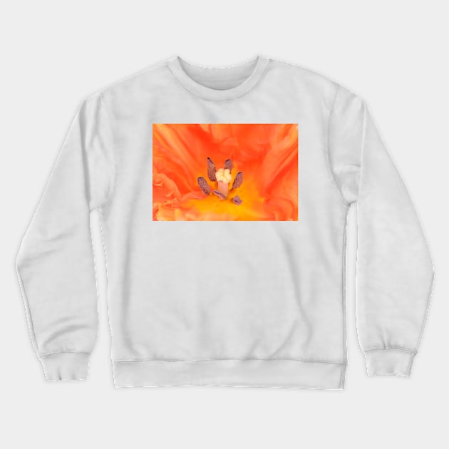 Tulipa  &#39;Monarch Parrot&#39;  Tulip  Parrot Group Crewneck Sweatshirt by chrisburrows